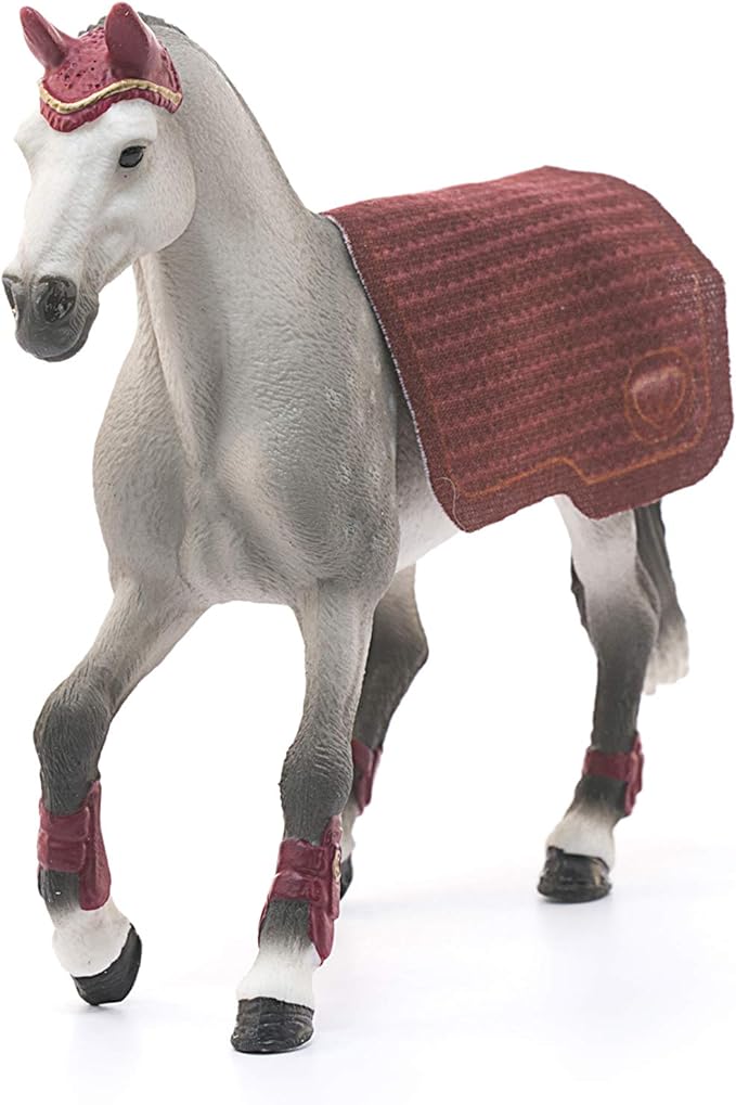 Trakehner Mare with Blanket