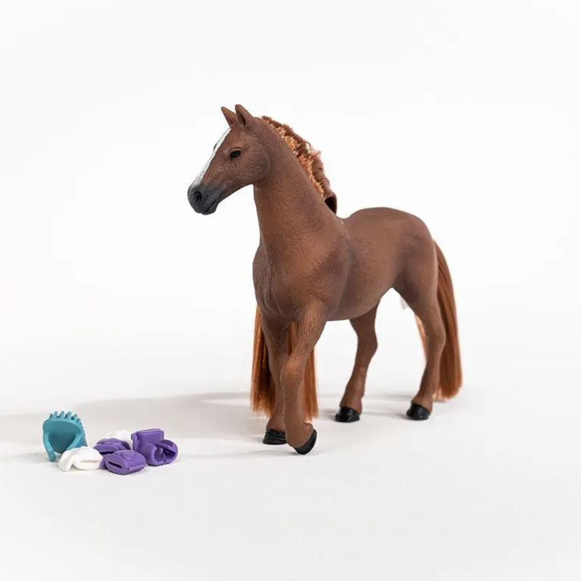 Beauty Horse English Thoroughbred Mare