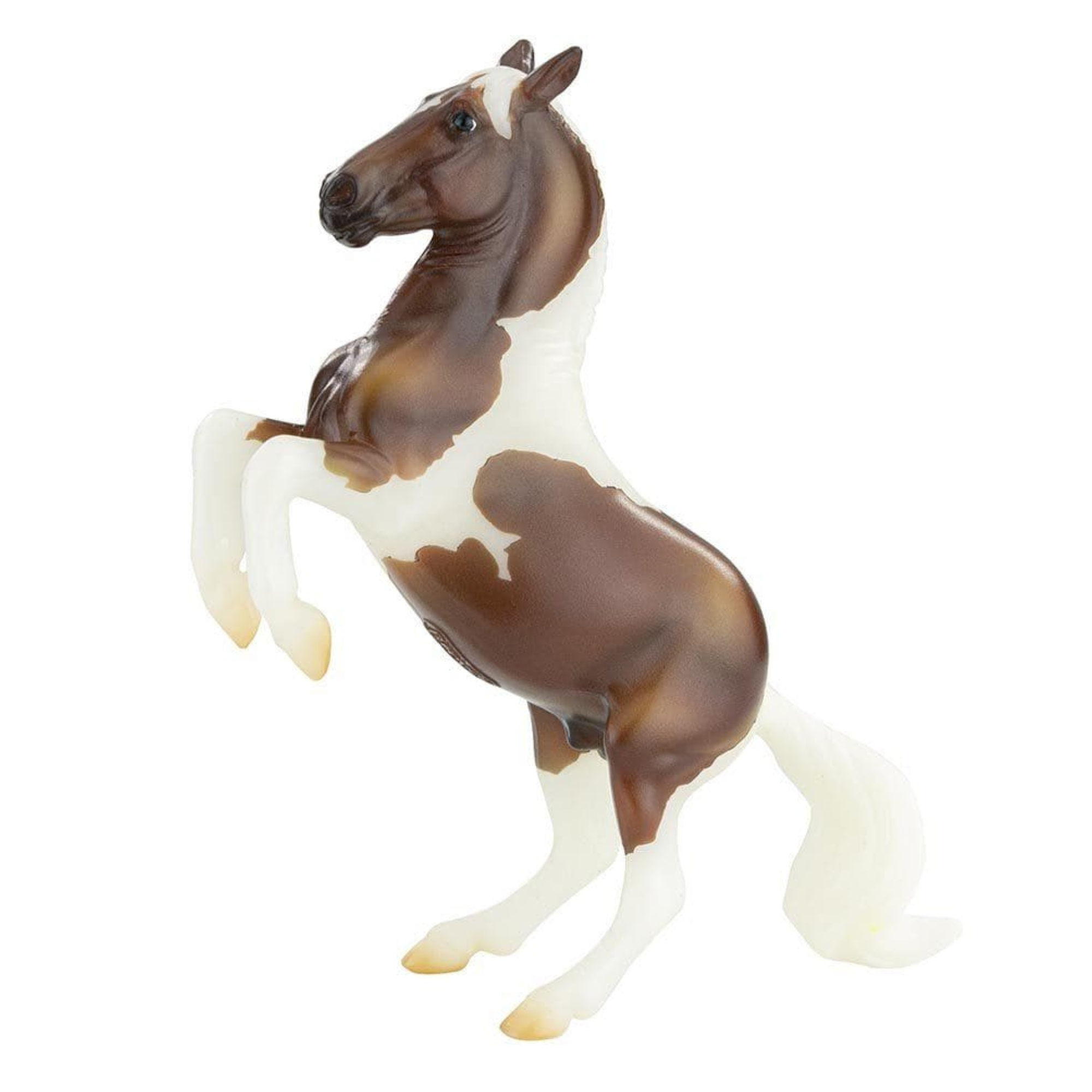 Pintos & Palominos Gift Set