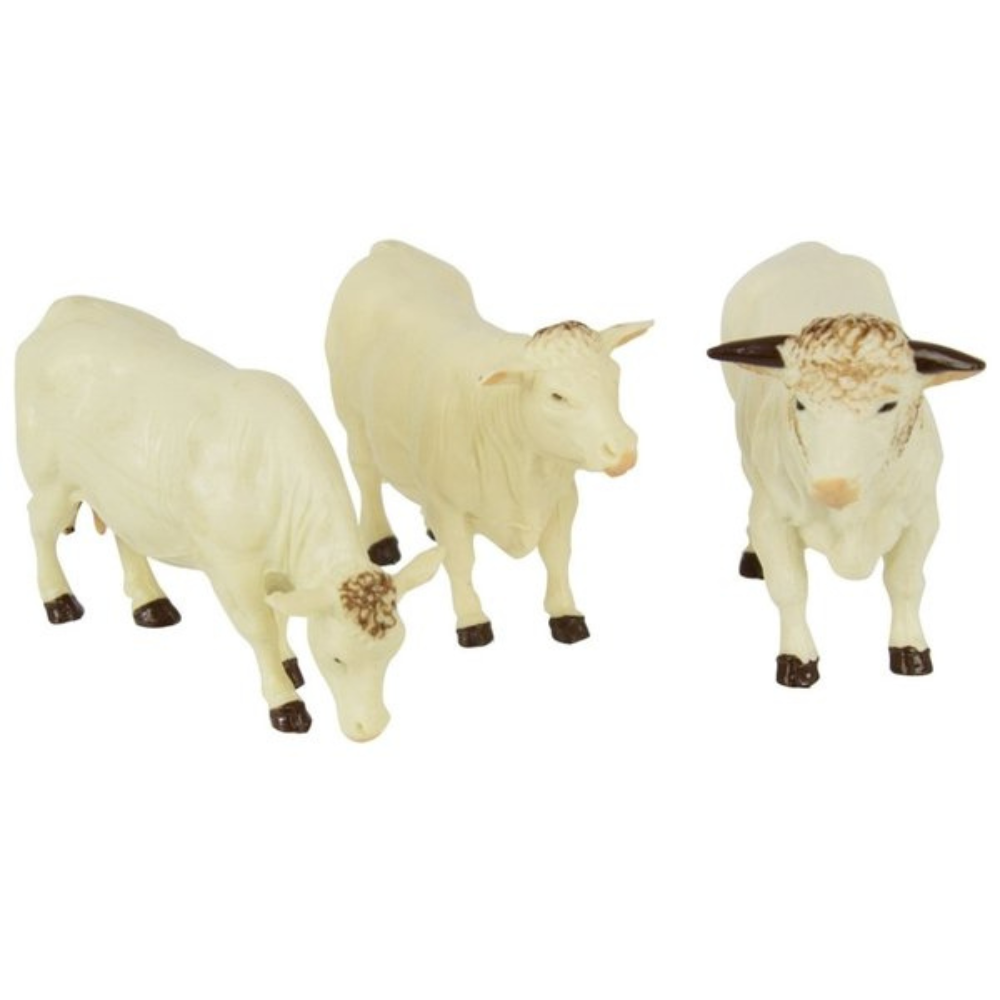 Charolais Cattle Set