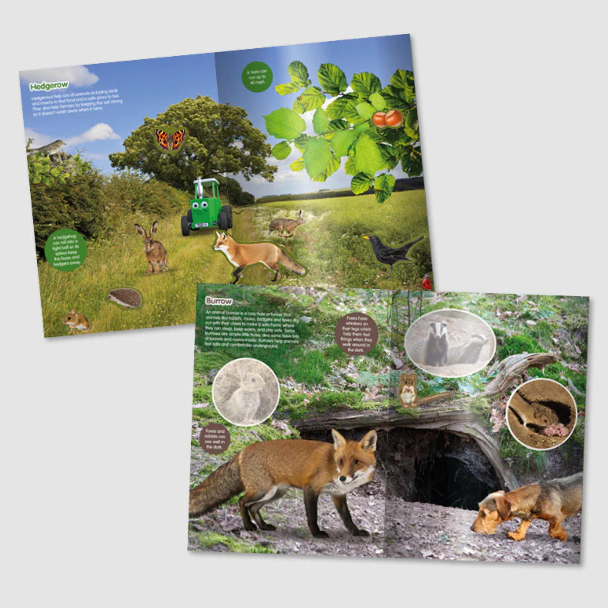 Tractor Ted Fantastic Fun Sticker Book