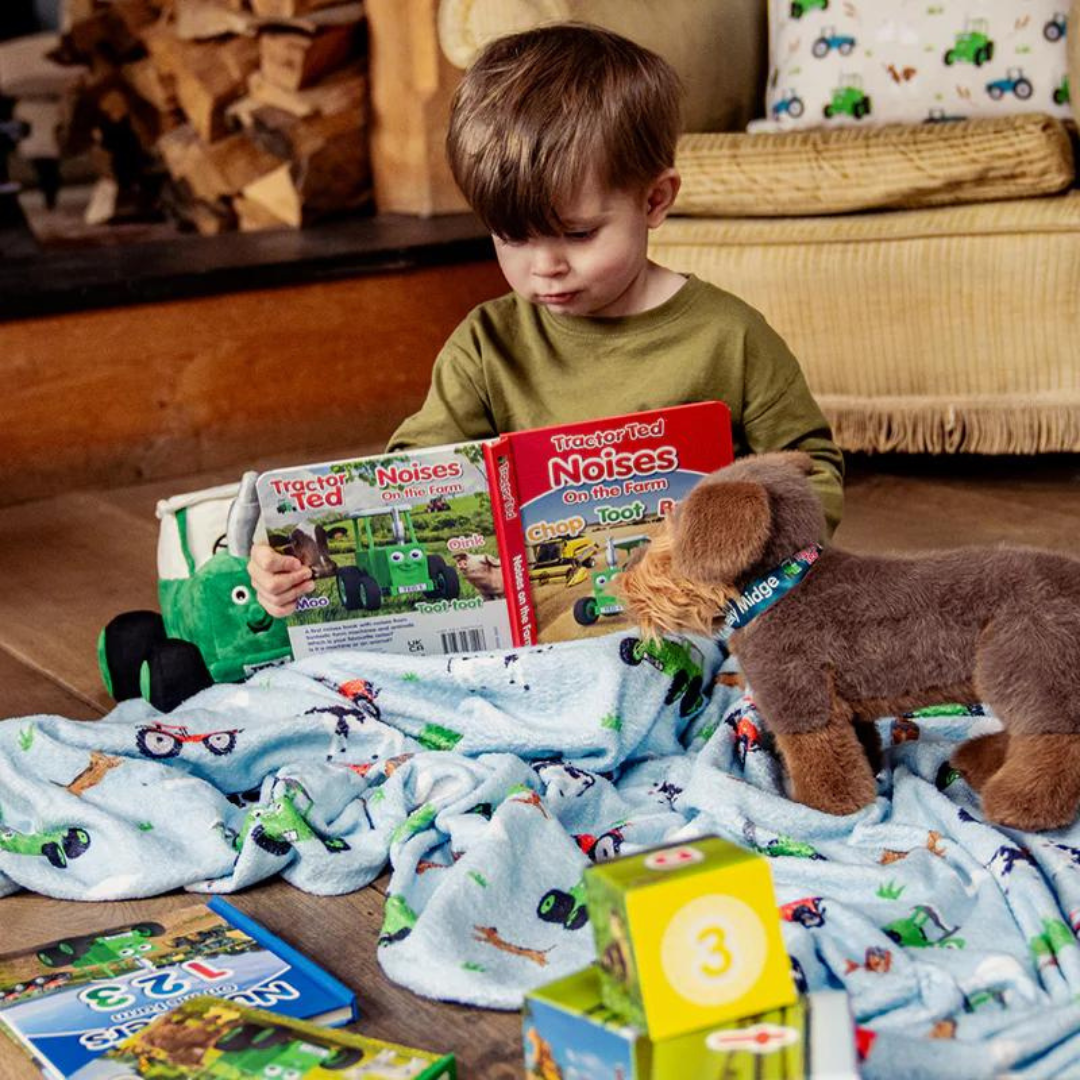 Tractor Ted First Noises Board Book