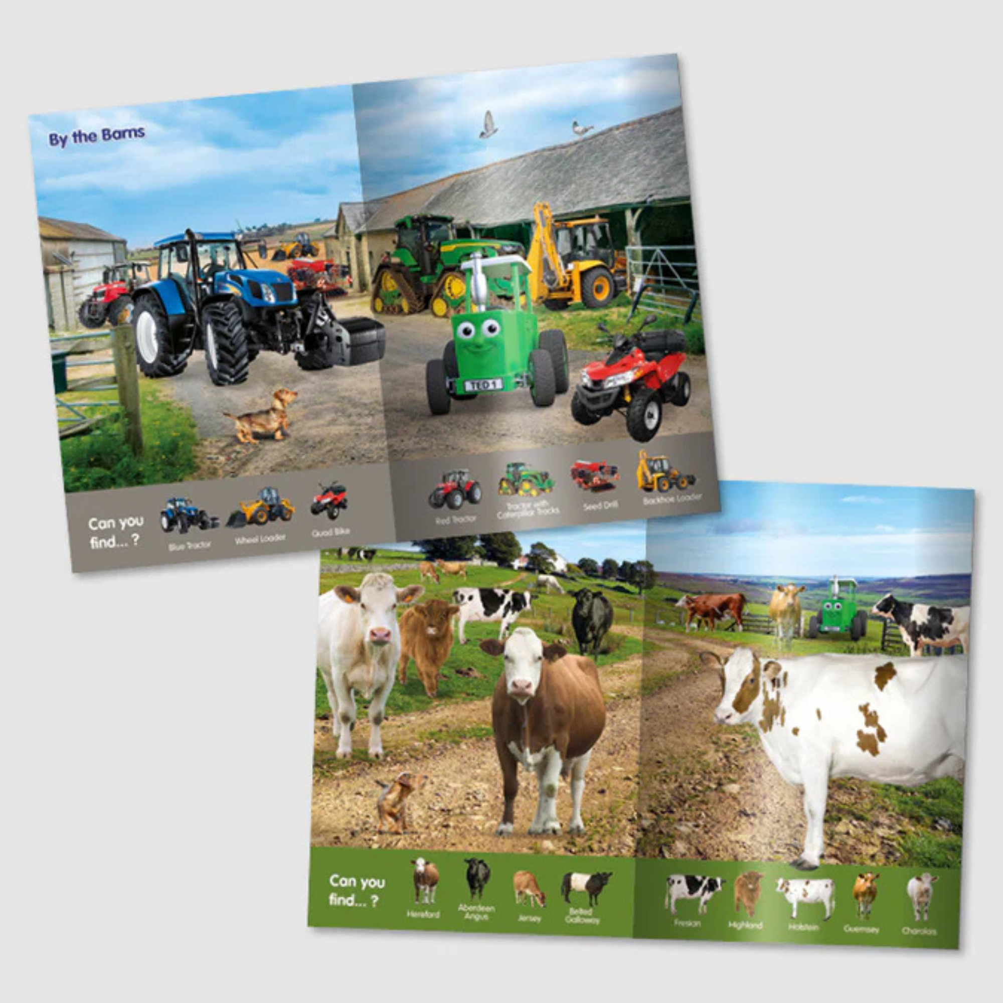 Tractor Ted Look & Find Farm Book