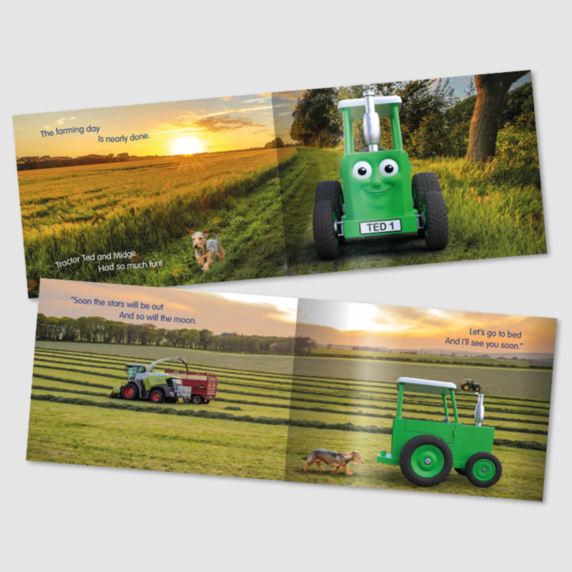 Tractor Ted 5-Book Storytime Bundle