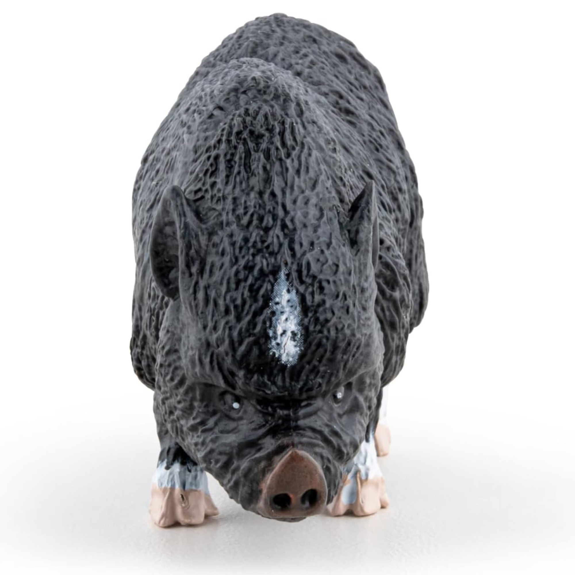 Papo Vietnamese Pot Bellied Pig