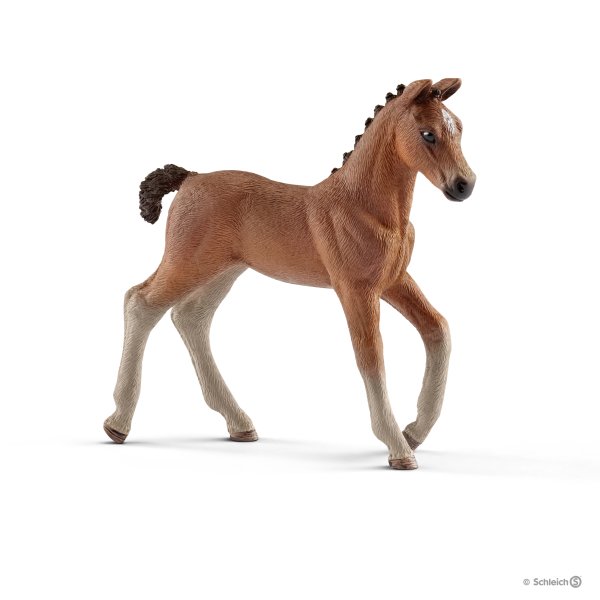 Schleich Hanoverian Foal13818