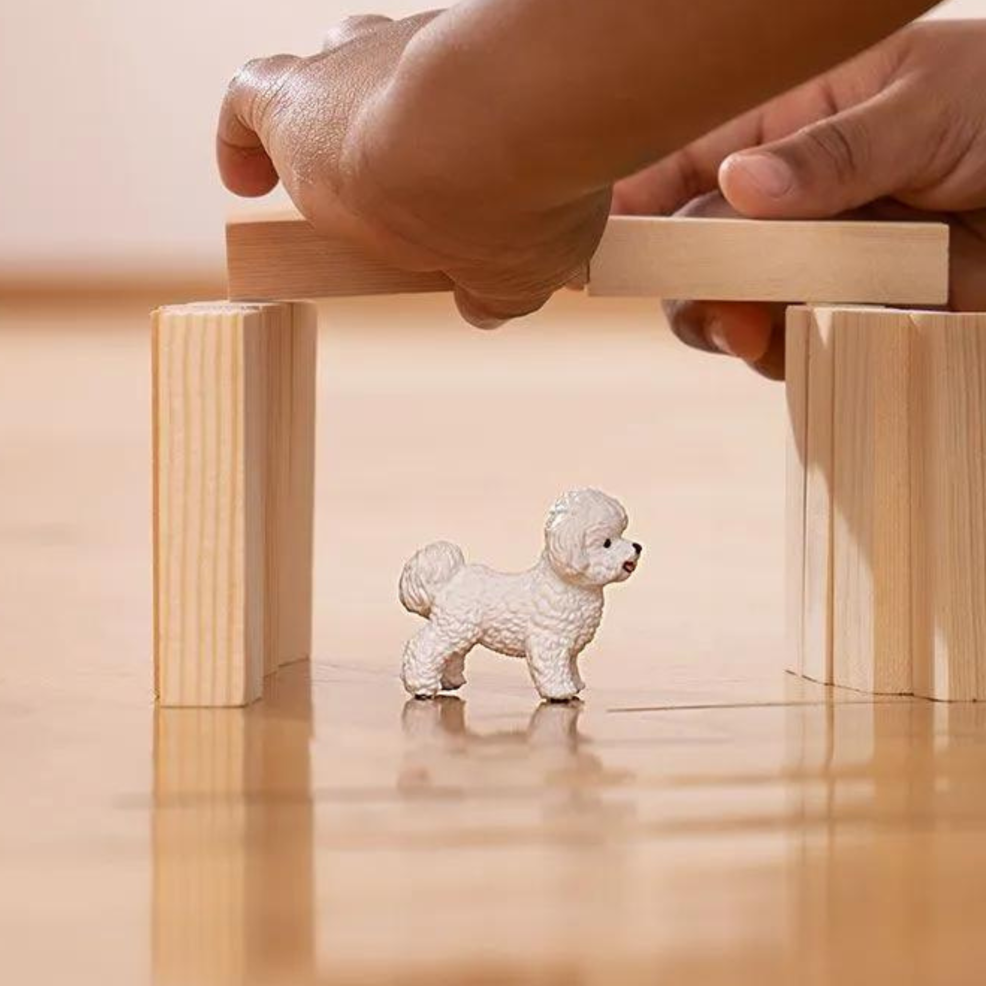 Schleich Bichon Frise 13963