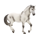 Animal Planet Andalusian Grey