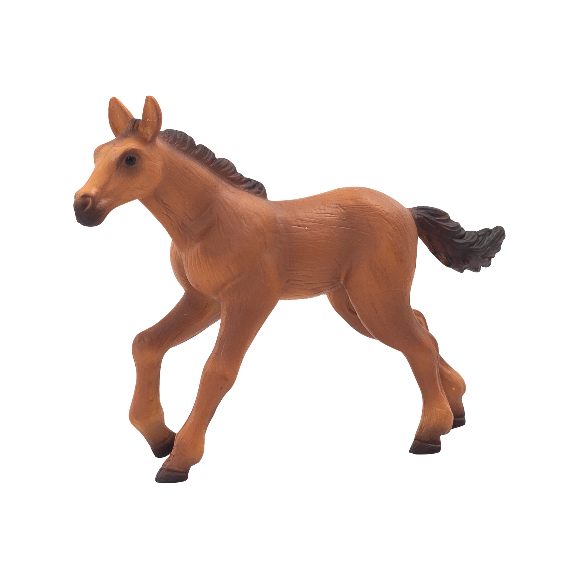 Hanoverian Foal Animal Planet 387072