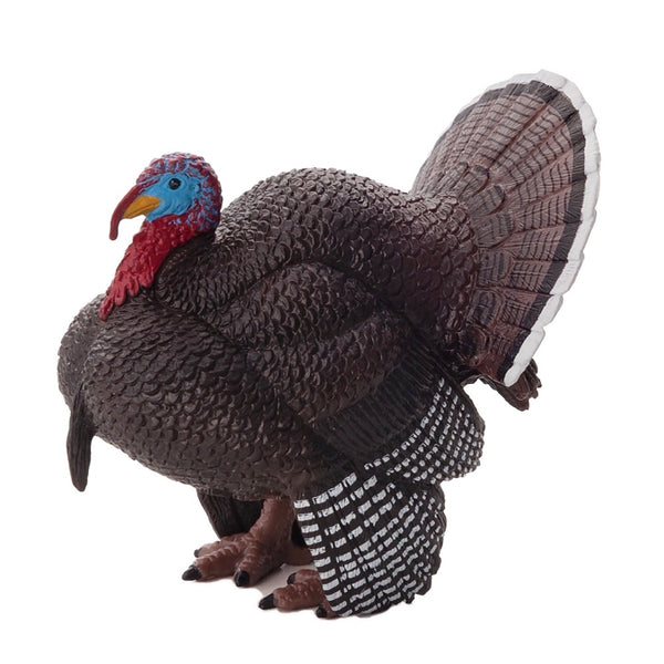 Male Turkey Animal Planet 387285