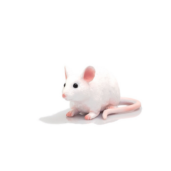Mouse Animal Planet 387235