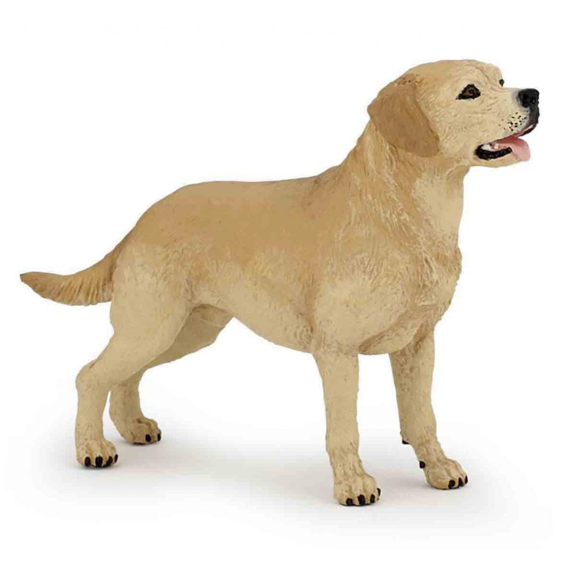 Lebra dog online deals shopping