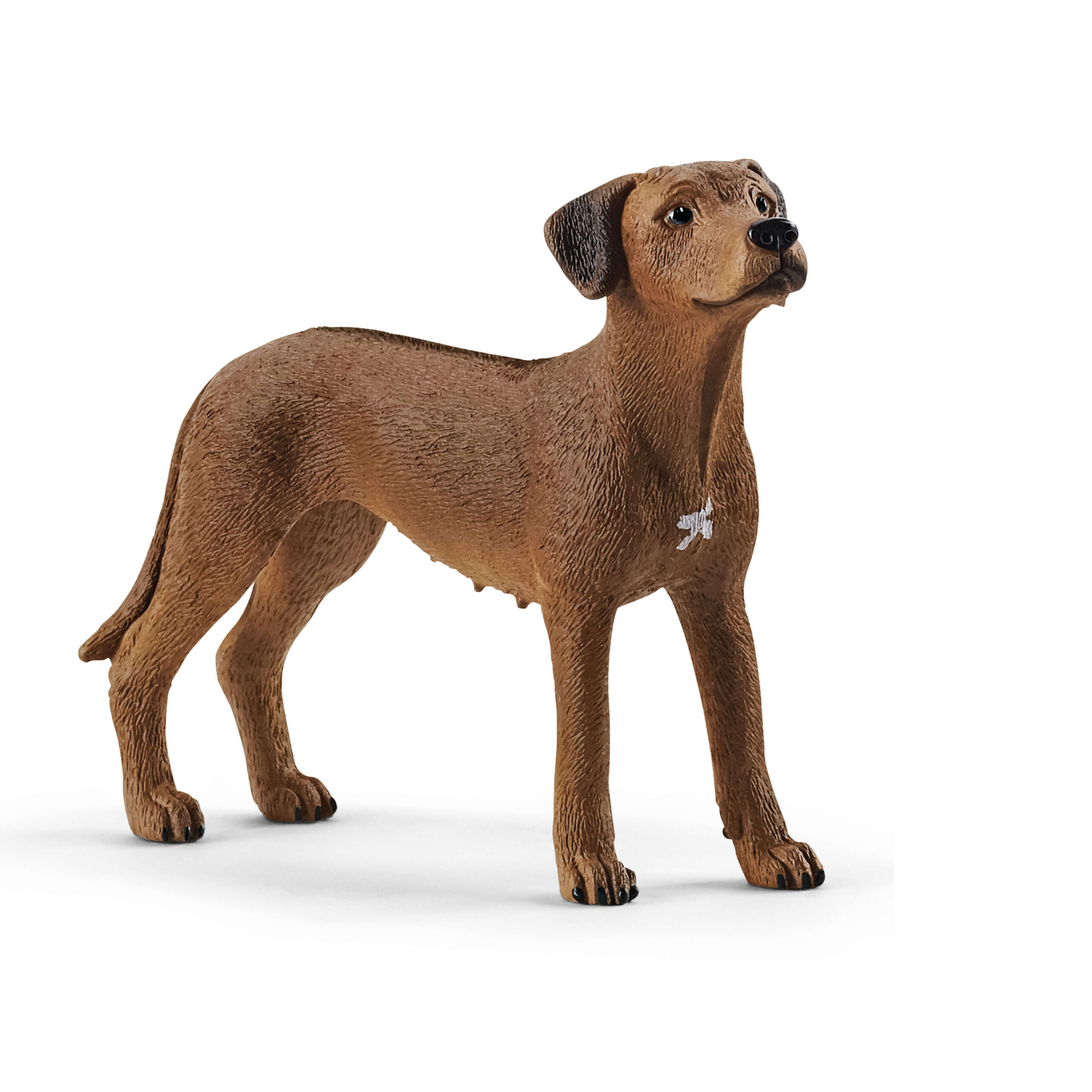Rhodesian Ridgeback Schleich 13895