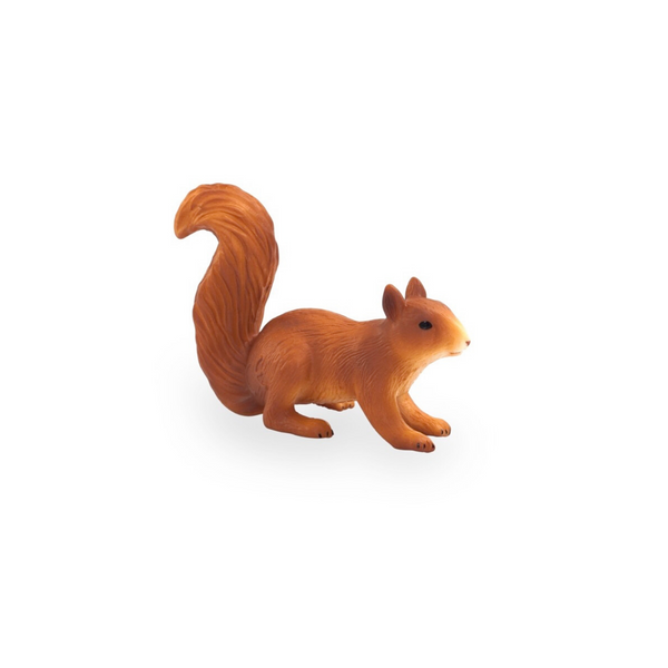 Squirrel Running Animal Planet 387032