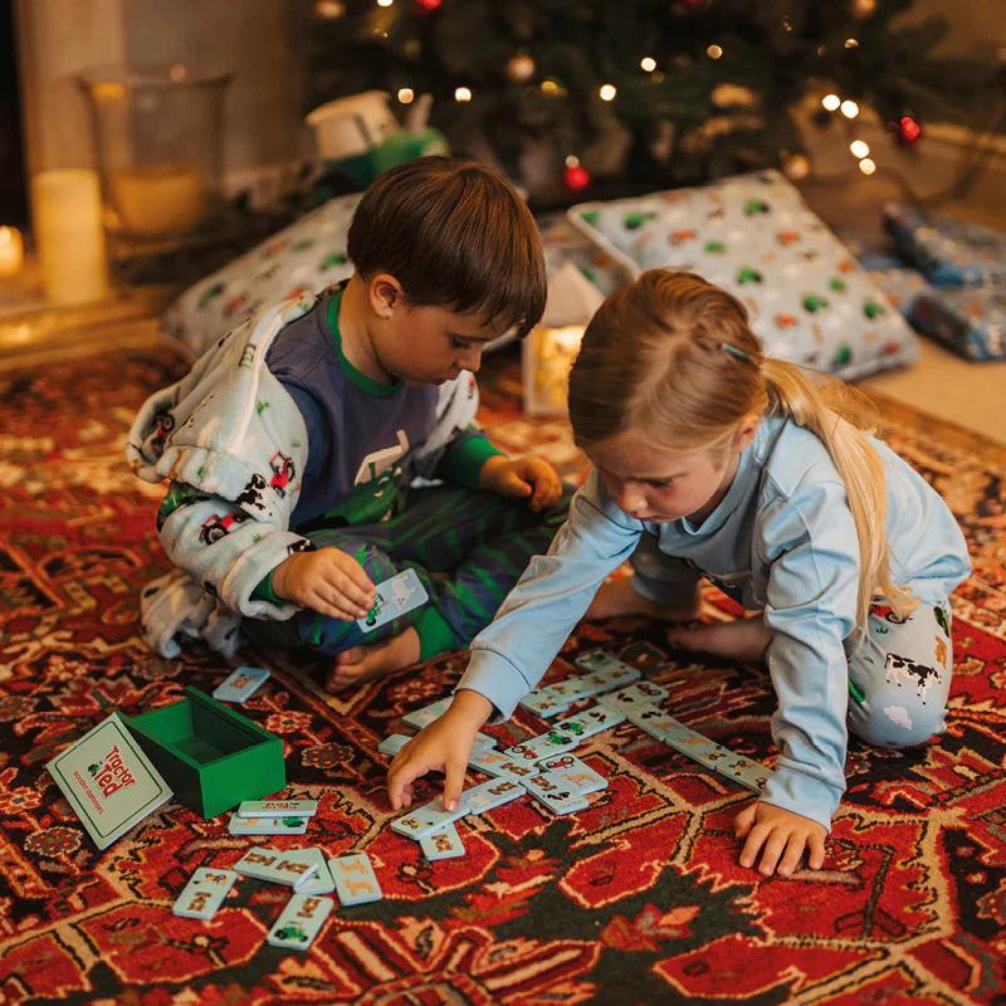 Tractor Ted Wooden Farm Dominoes