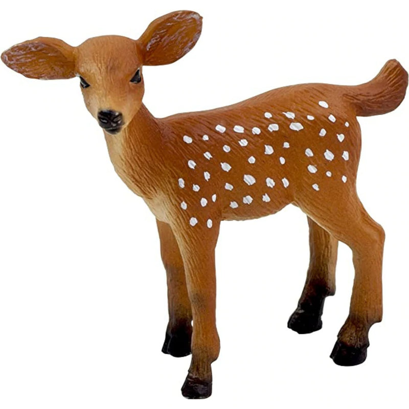 White Tailed Deer Fawn Mojo