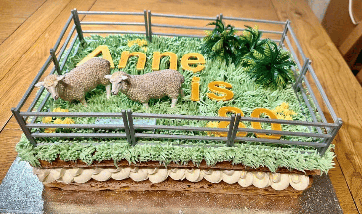 tractor cake idea