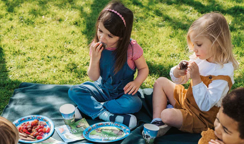 Top Tips for Planning a Farm-Themed Kids Birthday Party At Home | Farm