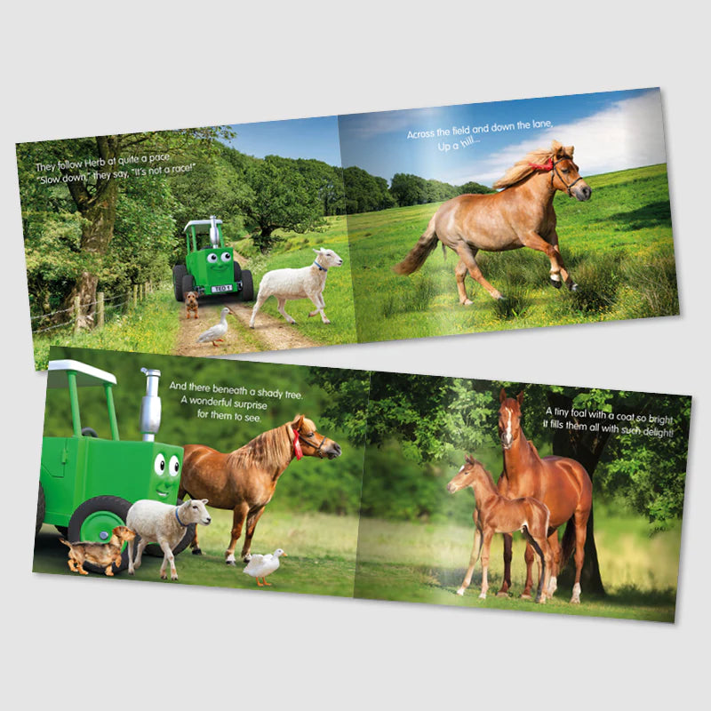 Tractor Ted Herb's Surprise Storybook