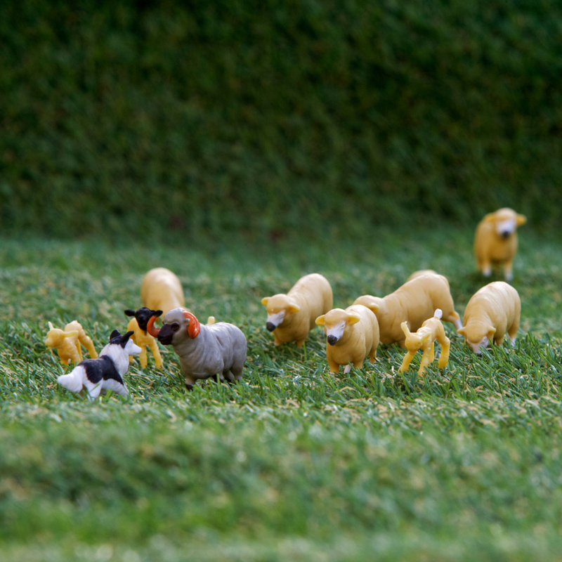 Britains Sheep Set