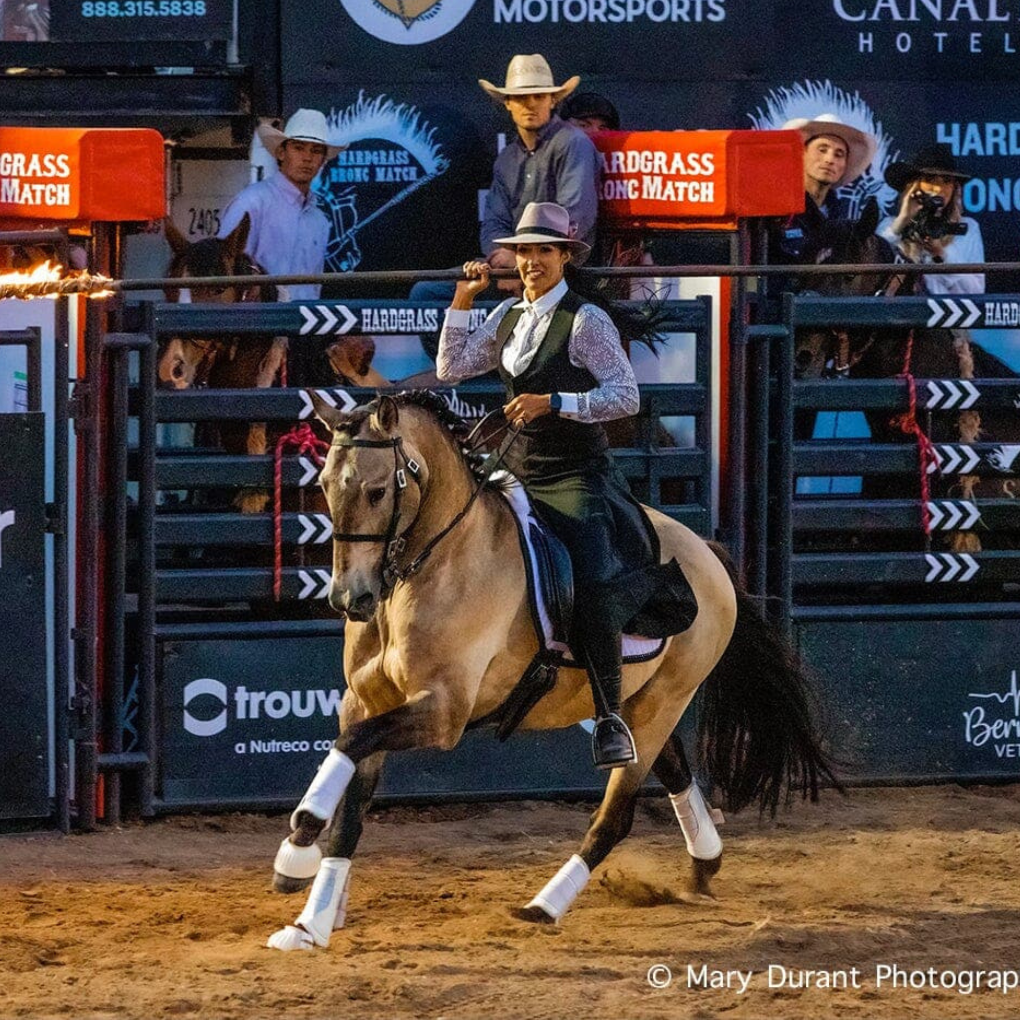 Breyer Cossaco Horse