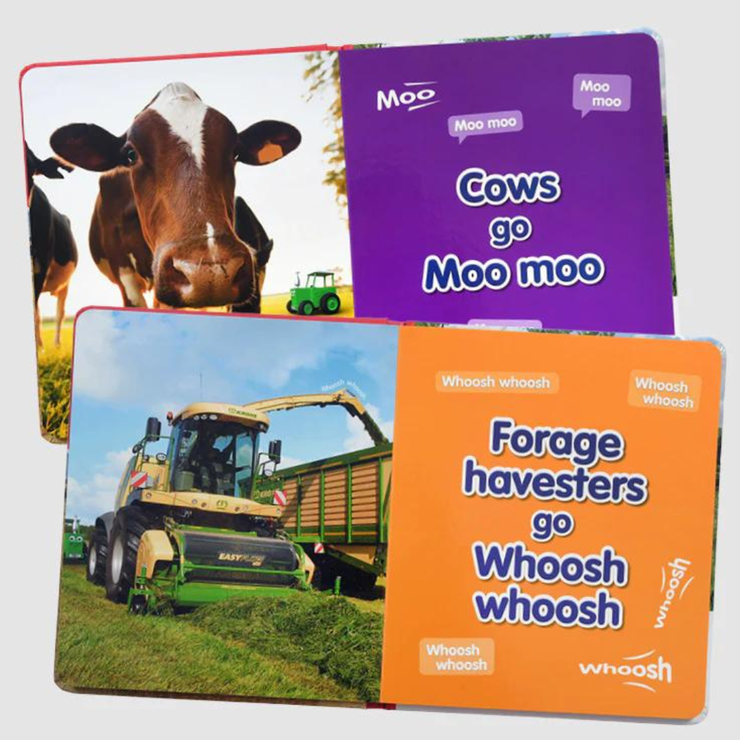 First Noises Board Book