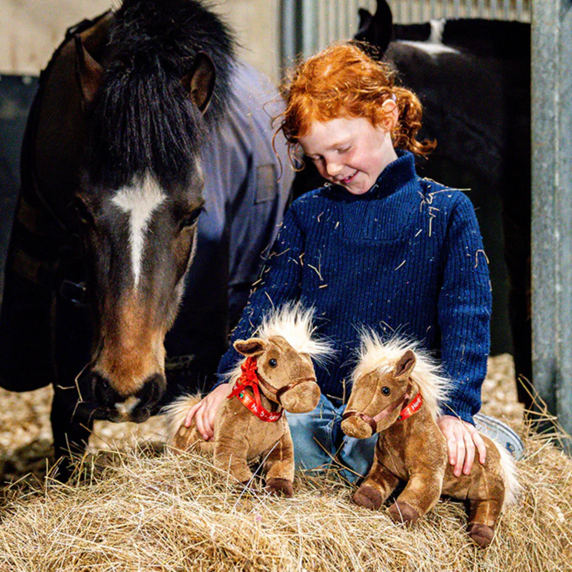 Tractor Ted Herb the Pony Soft Toy