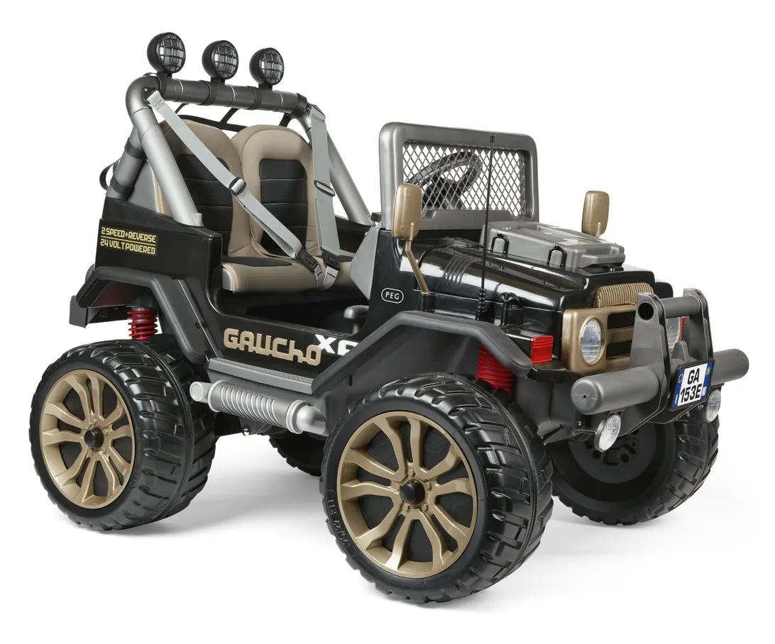 Gaucho Off-Road 2 Seater 24v Electric Vehicle