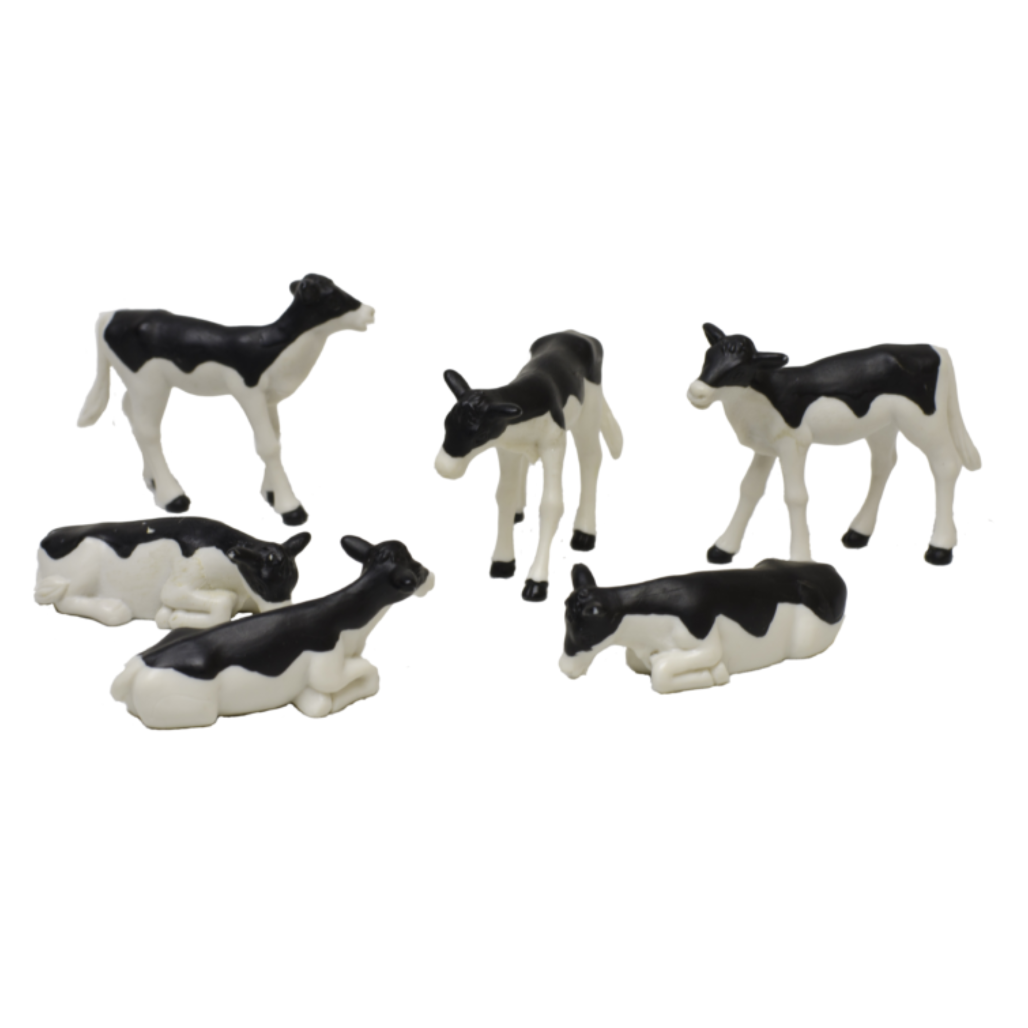 6 Black & White Standing & Lying Calves