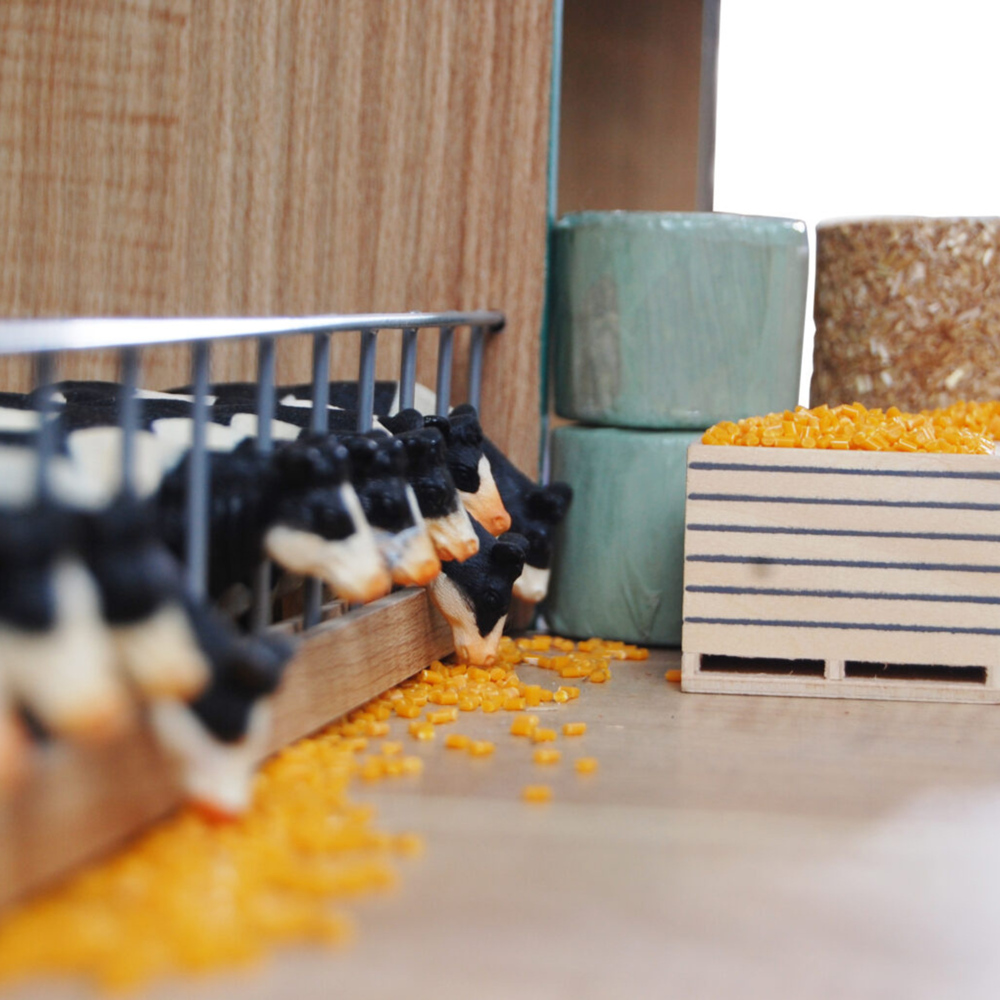 Kids Globe Bag of Maize for Silo