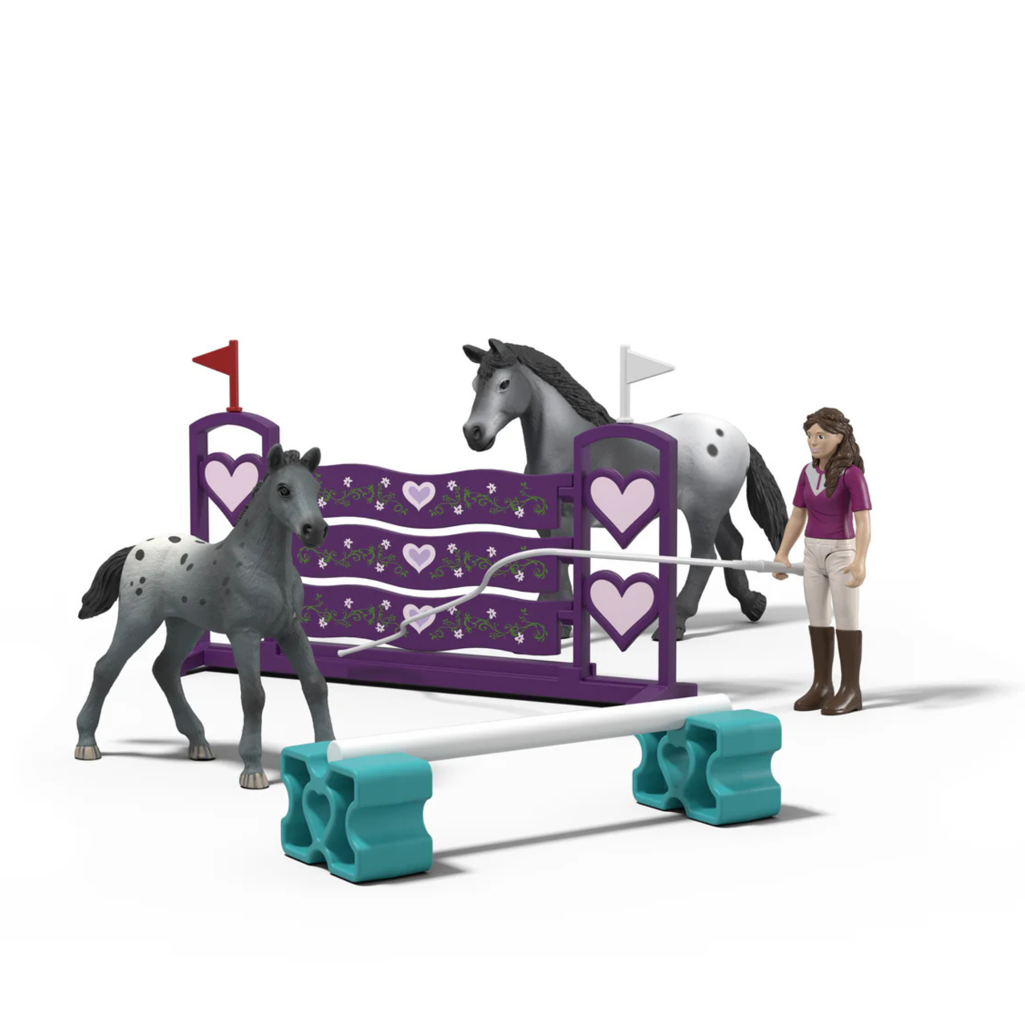 Lisa's Tournament Training