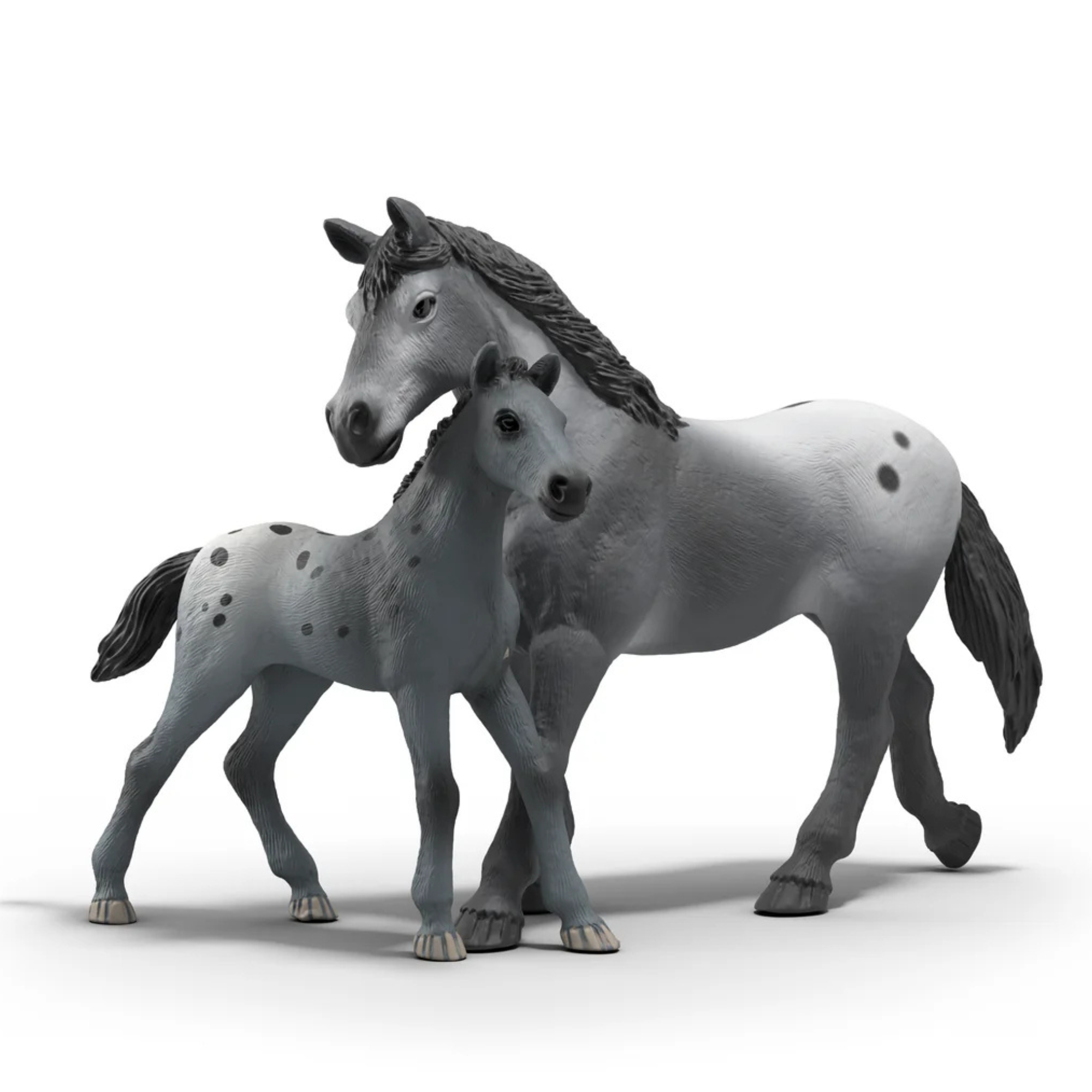 Lisa's Tournament Training