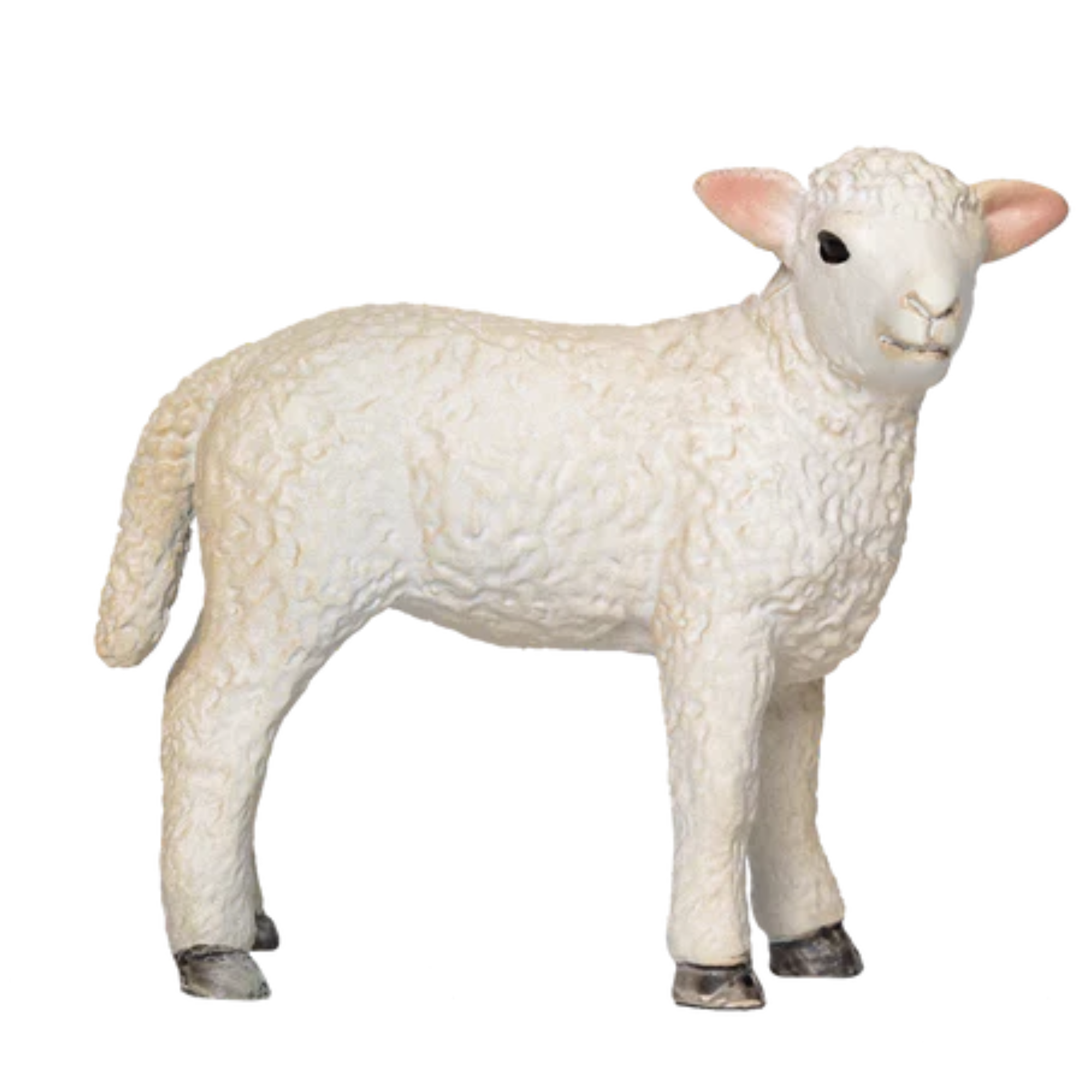 Mojo Romney Lamb Standing