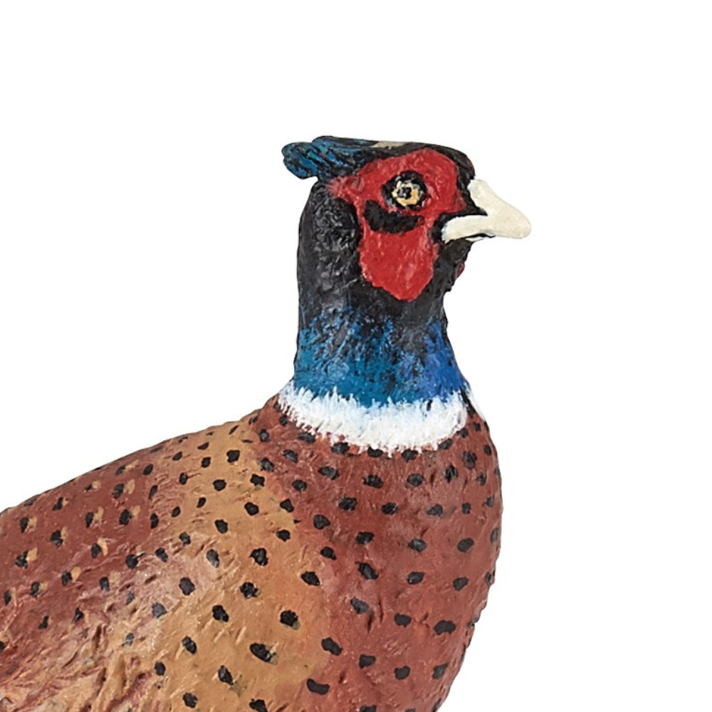 Papo Pheasant