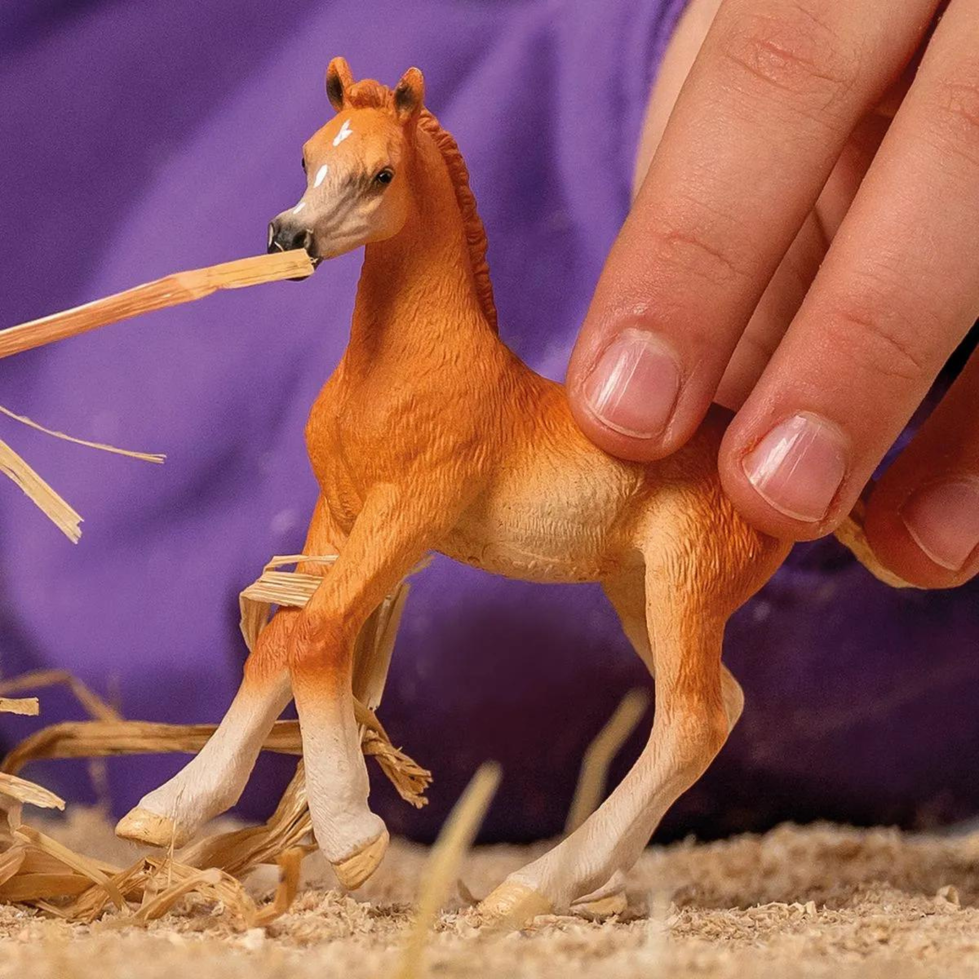 Schleich Arabian Foal 13984