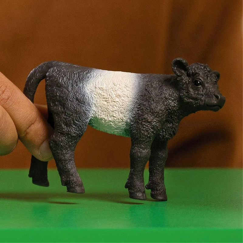 Schleich Galloway Calf 13969