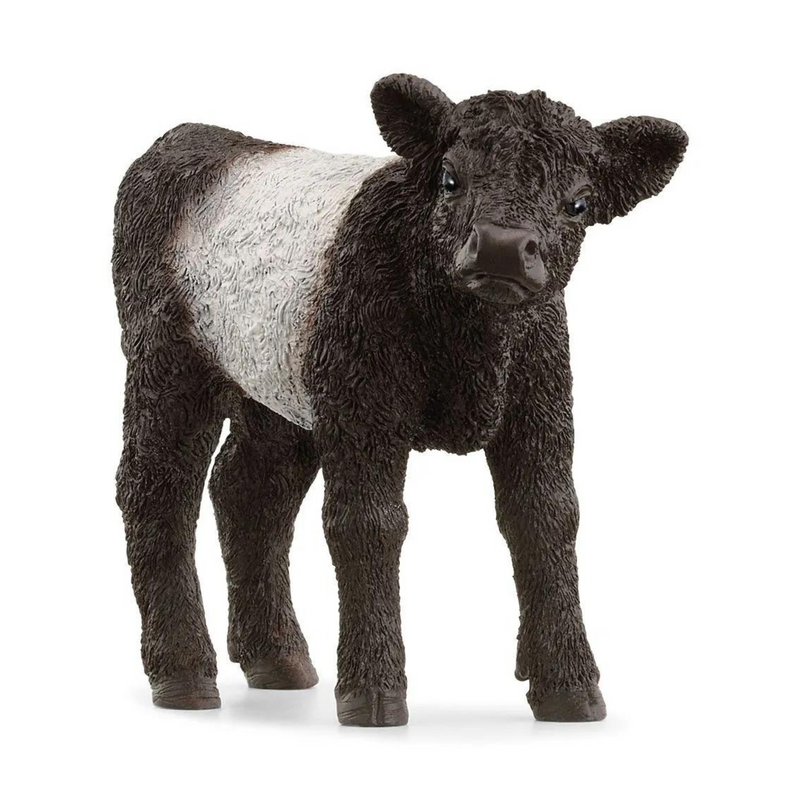 Schleich Galloway Calf 13969