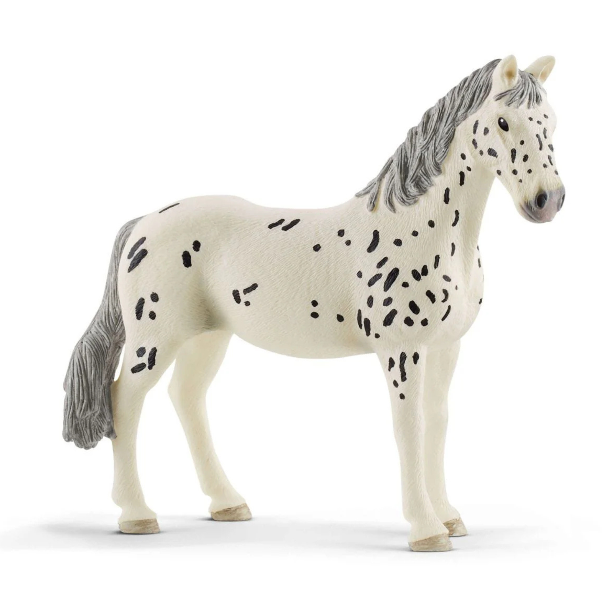 Knabstrupper Mare
