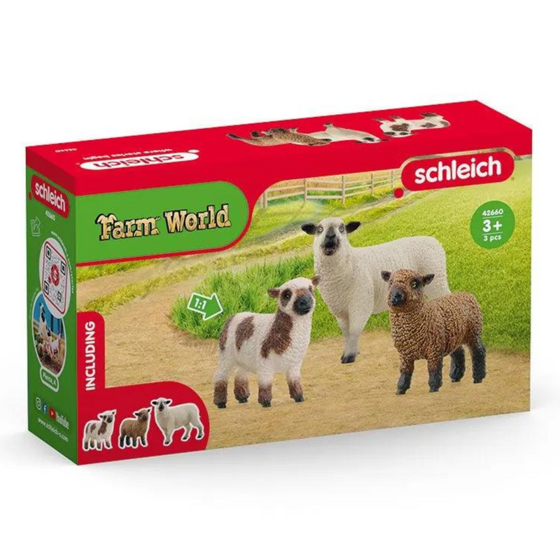 Schleich Sheep Friends 42660