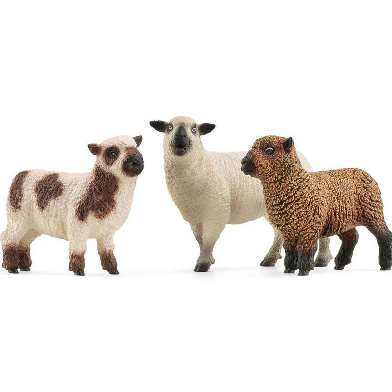 Schleich Sheep Friends 42660