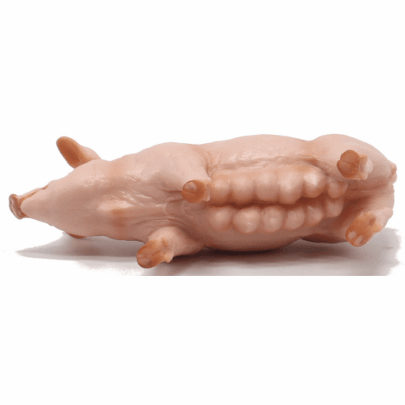Papo Sow 51188 farm animal figure