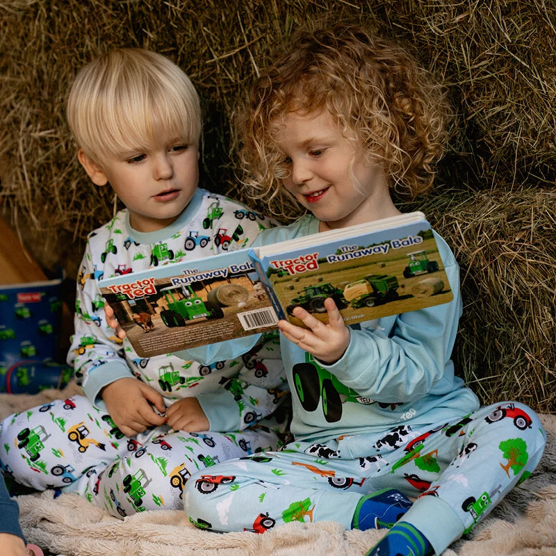 The Runaway Bale Story Board Book