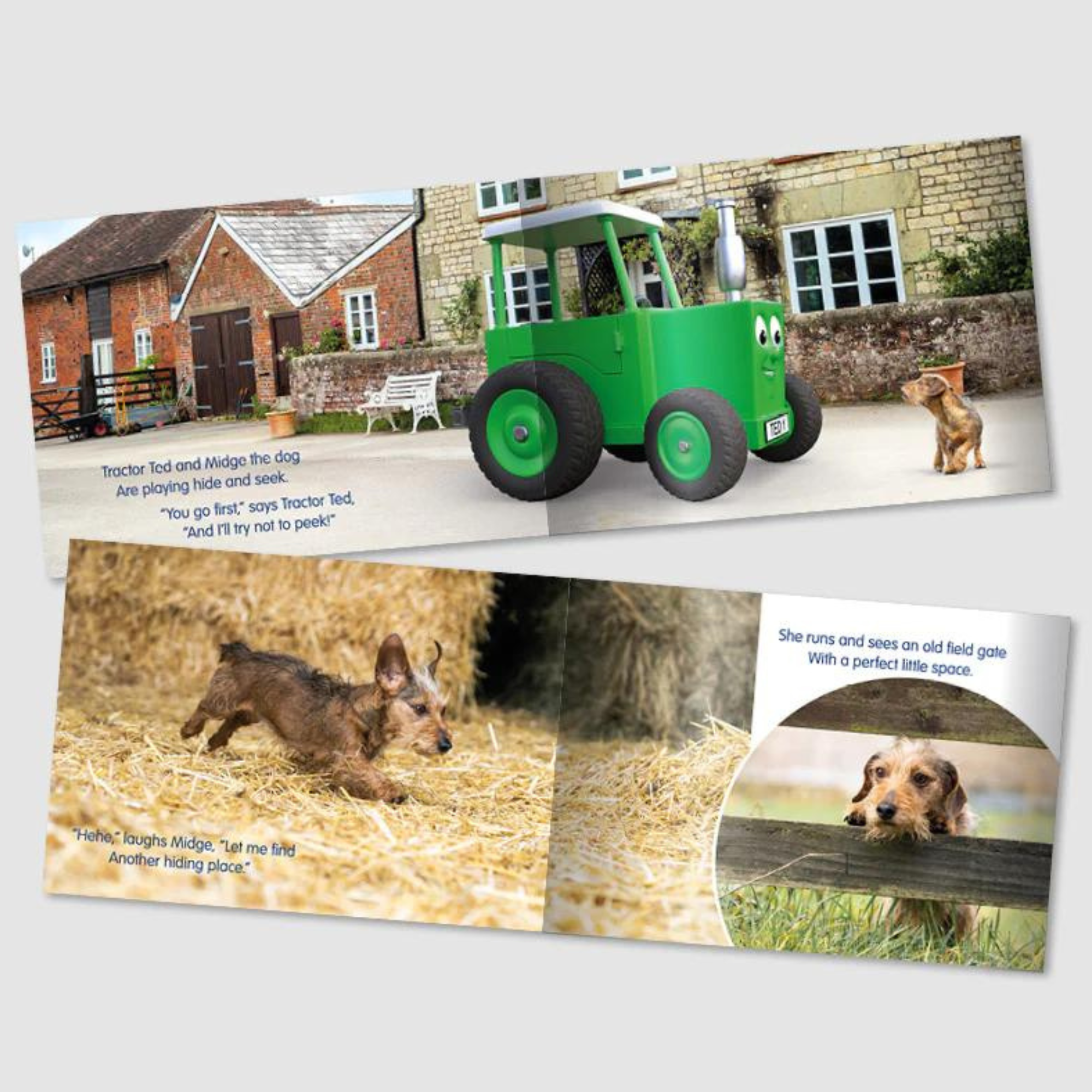 Tractor Ted Hide and Seek Storybook
