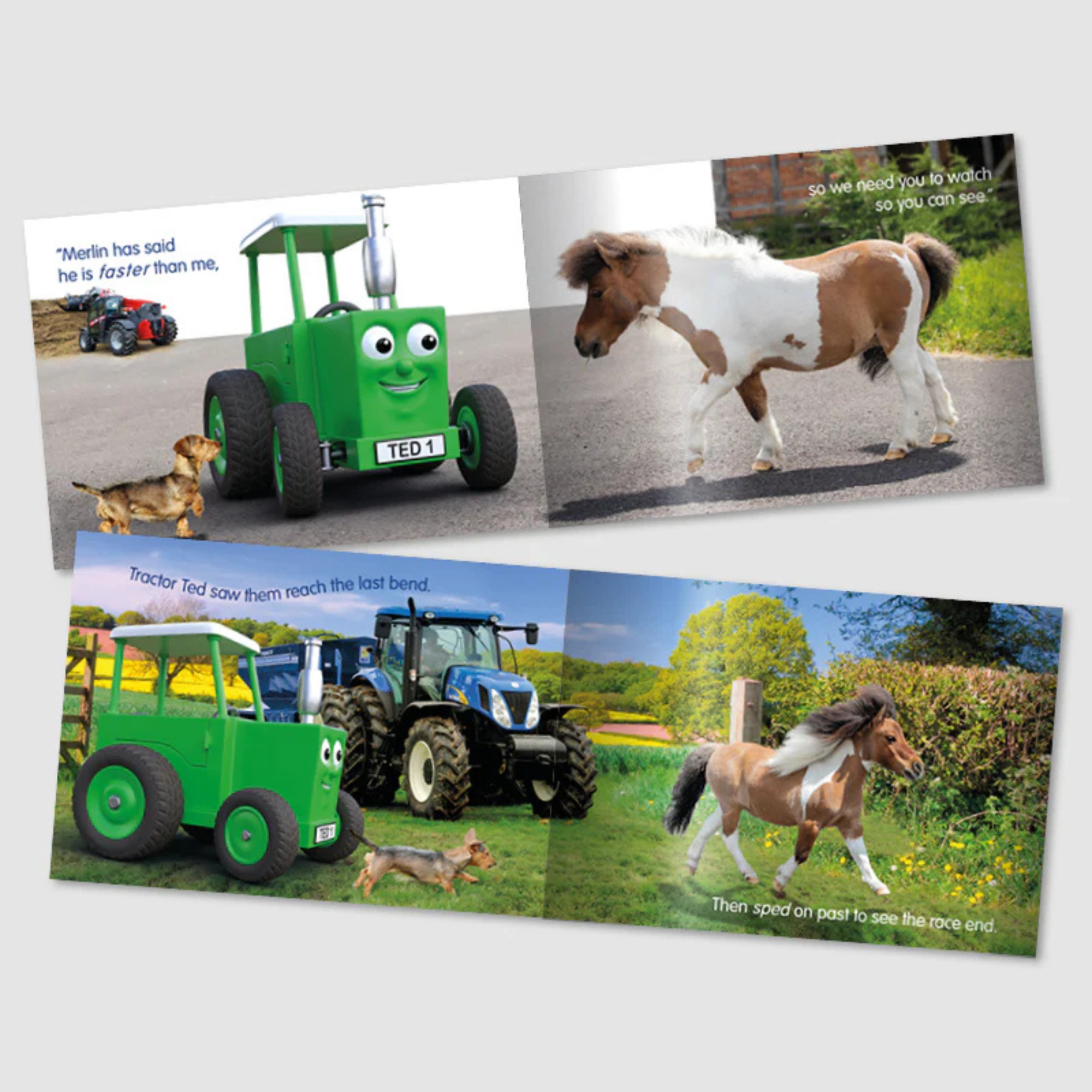 Tractor Ted The Great Race Book