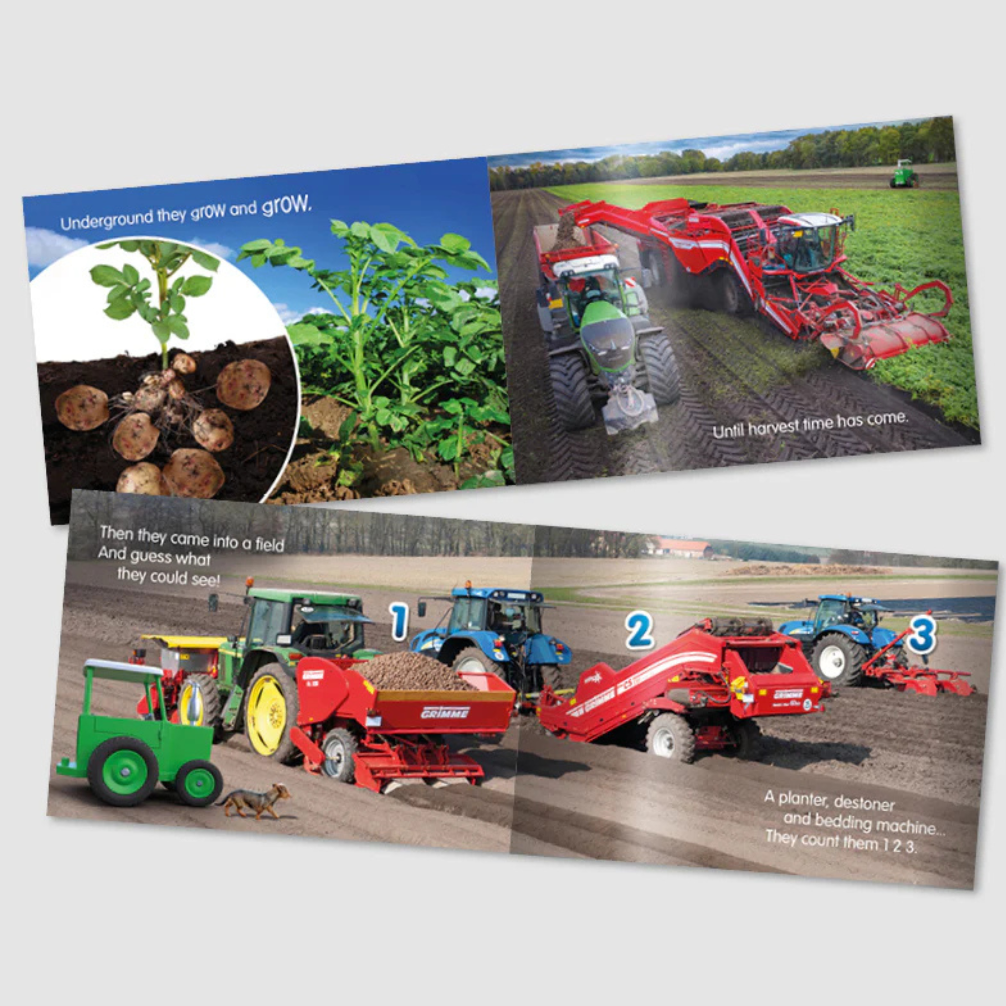 Tractor Ted Whose Bed? Book