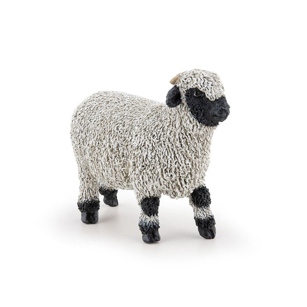 valais-blacknose-