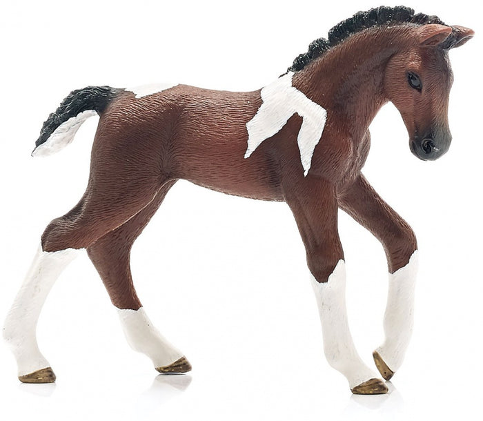 Schleich World of Nature Trakehner Foal 13758