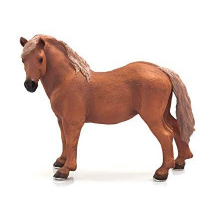 387195 Suffolk Punch Mare Animal Planet