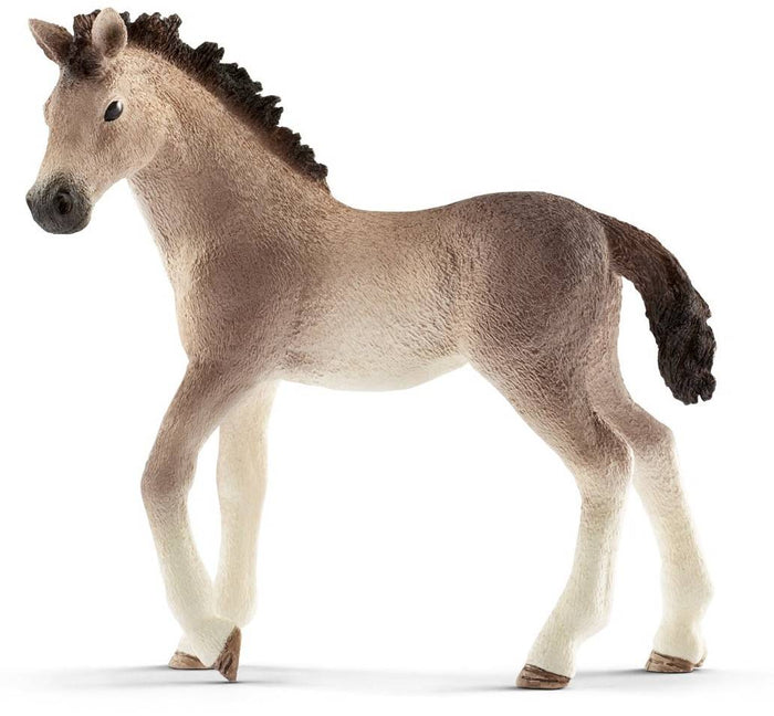 Andalusian Foal (Scheich) [13822]