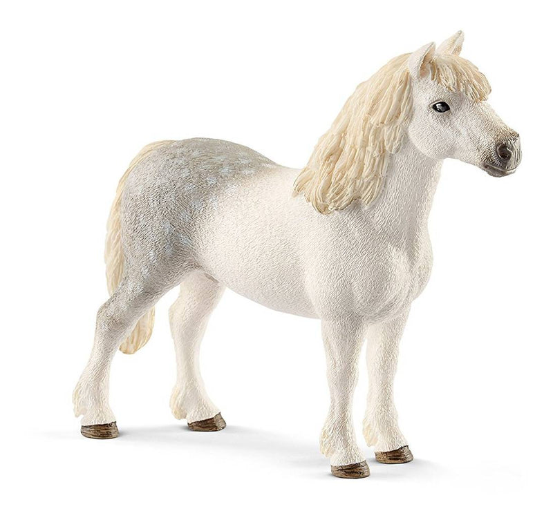 Welsh Pony Stallion (Schleich) [13871]